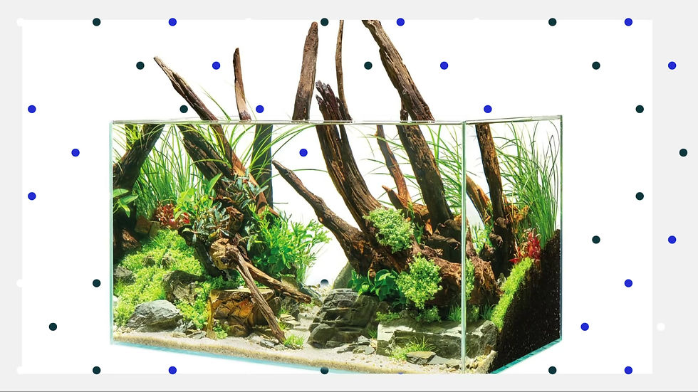 Thumbnail: OASE ScaperLine 60 Aquarium Set