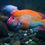 Thumbnail: Red Devil Cichlid