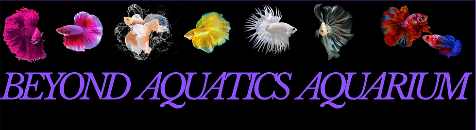 Screenshot 2025-10-06 at 11.49.31 am.png