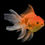 Thumbnail: Fantail Goldfish