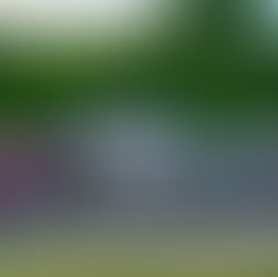 Blomqvist Grabs Pole at CTMP