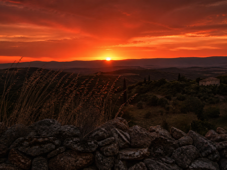 Lumière de fin de journée sur un paysage d'Occitanie au début de l'été