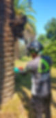 picudorojo.jpeg