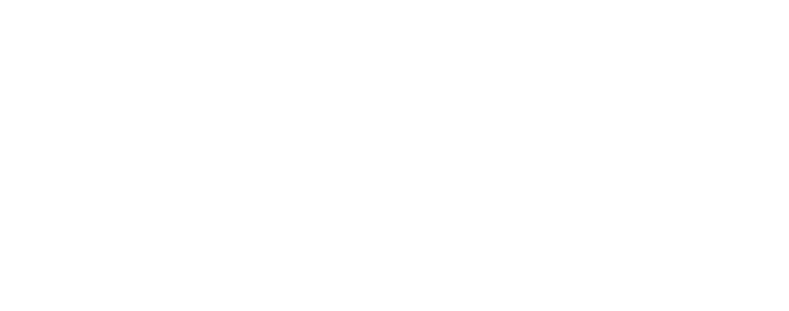 20231205_Logo_ftt_weiss.png