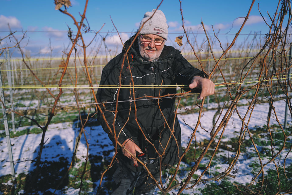 weingut_lorenz_2021_februar_shot_by_steffenhenkel-27.jpg