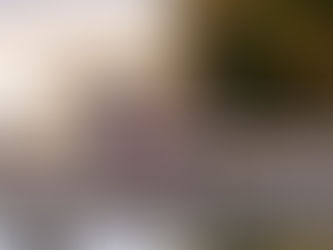 Locations for your next photography session in Chapin, SC