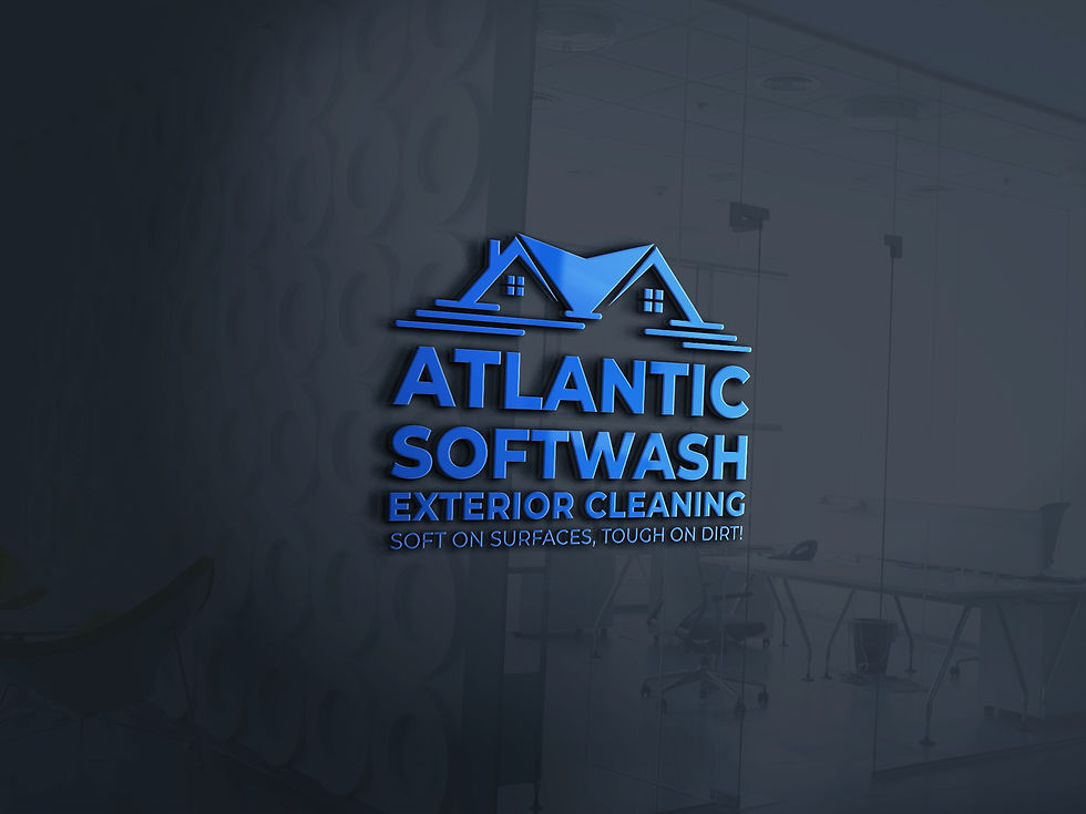 Atlantic Softwash Exterior Cleaning 1-02 m.jpeg
