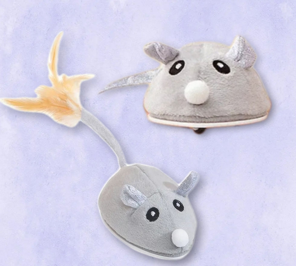 Interaktive Katzenspielzeug