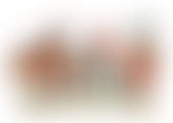 Vassalli, valvassori e valvassini