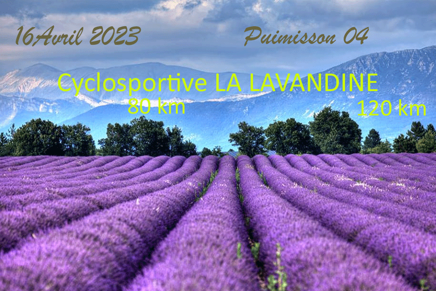 valensole-lavande-provence-.gif