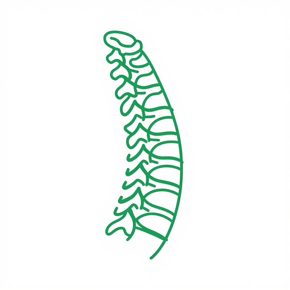 back-pain