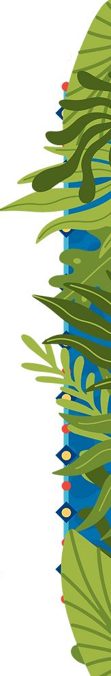 Lets_Go_Wild_Plant BorderNew.png