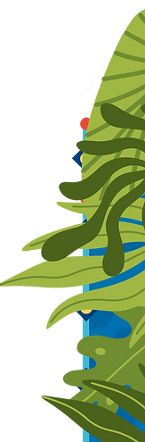 Lets_Go_Wild_Plant BorderNew.png