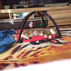 Mimi wurde heute mal ausquartiert.