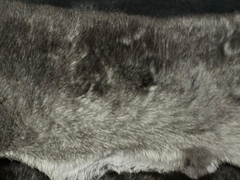 Miniatura: Frazada de chinchilla genuina