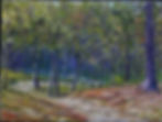 Path at Maudslay