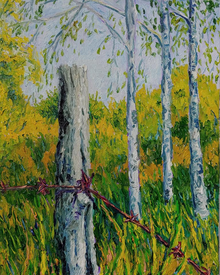 Barbed Wire