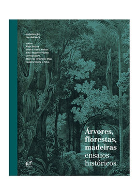 01-285x404-BalançoEnergético2006.png