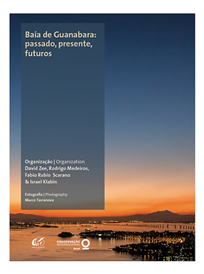 01-285x404-BalançoEnergético2006.png