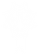 logos joshua-01.png