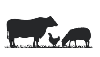 silhouette of cow, chicken, and sheep.