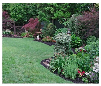An image showing a landscape planted with shrubs, flowers, and other groundcover plants at the edge of a lawn.
