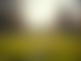 De Voordelen Van Buiten Sporten Voor Je Gezondheid