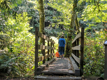 The watershed in your backyard