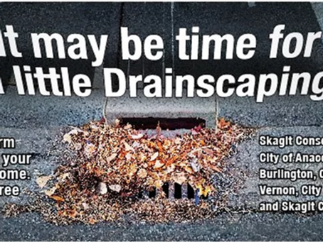 It might be time for a little "Drainscaping"