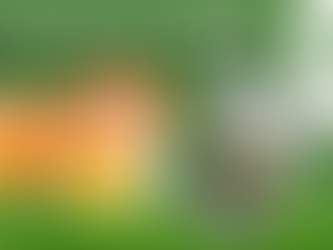 Importancia del uso de Combo en la producción de huevos