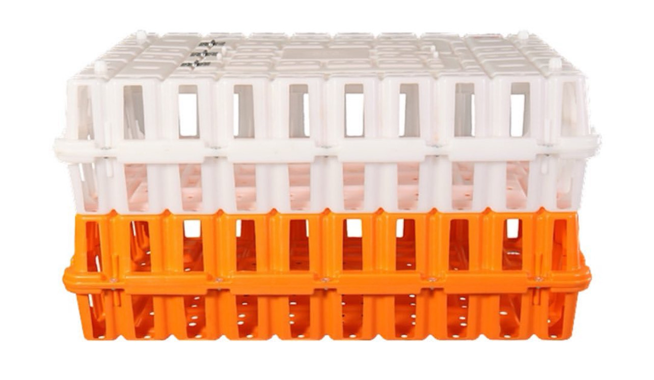 Caja para transporte de Pollos Vivos