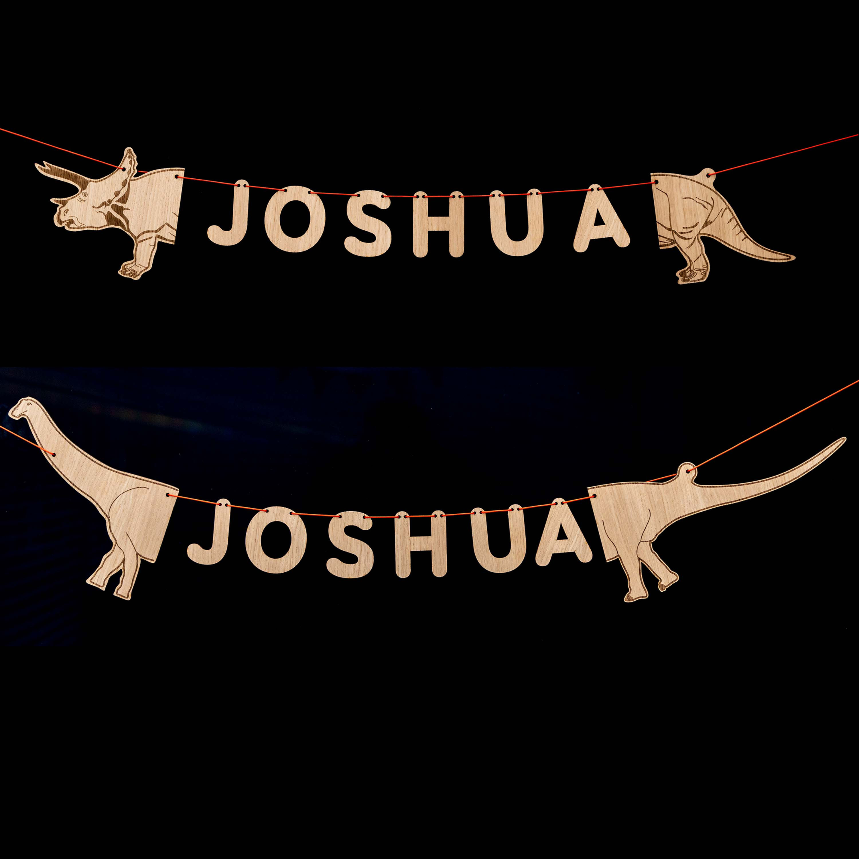 Wooden Dinosaur Banner