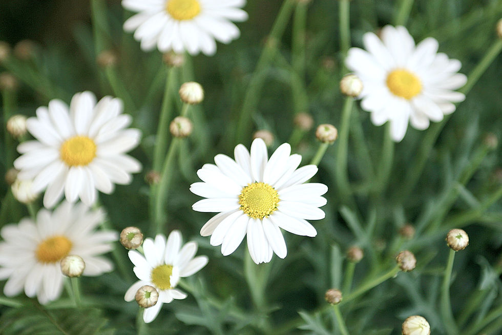 Best Salon In Yuba City Heads Together Salon & Day Spa