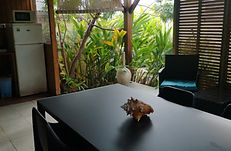 Balisier Terrasse bellevue-gites