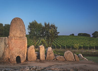 Screenshot 2026-03-29 alle 18.38.29.png