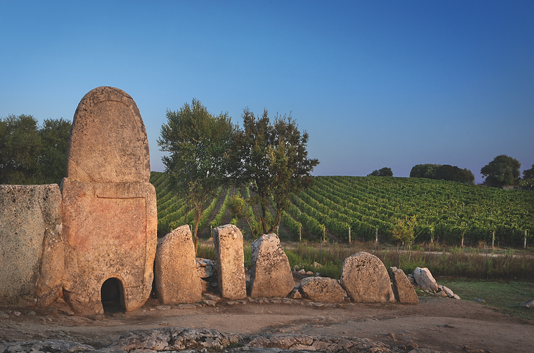 Screenshot 2026-03-29 alle 18.38.29.png