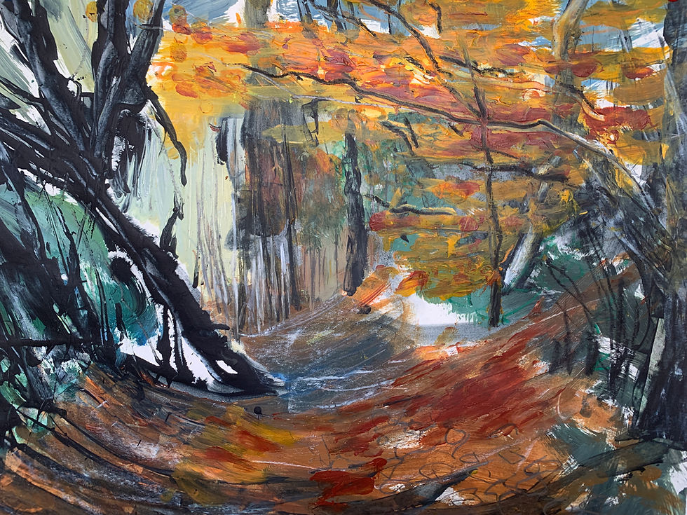 Autumn Walk