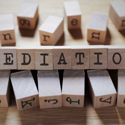Mediation As A Freelance Professional Activity And Principles Of Taxation