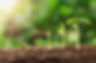 shutterstock_712080757.jpg