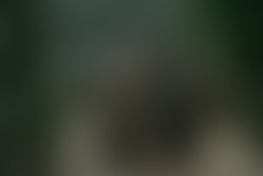 El Caballero de los Siete Reinos, nuevo episodio este domingo