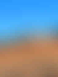 One of the many sand dunes in Sossusvlei