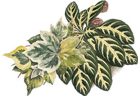 flowers-design-LMJJ-VISUAL-ARTS
