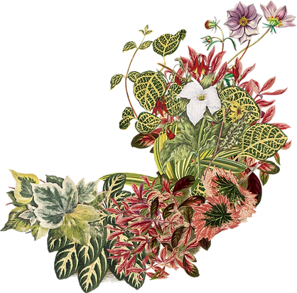 flowers03-LMJJ-VISUAL-ARTS