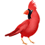 bird02-design-LMJJ-VISUAL-ARTS