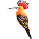 bird03-design-LMJJ-VISUAL-ARTS