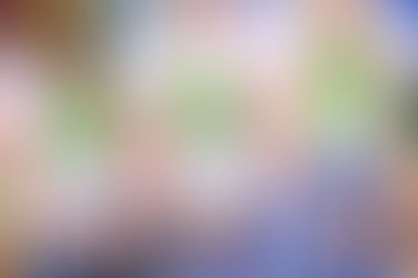 โครงการปลูกป่าสีเขียว ที่จังหวัดสระบุรี