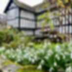 IMG_1114.jpeg