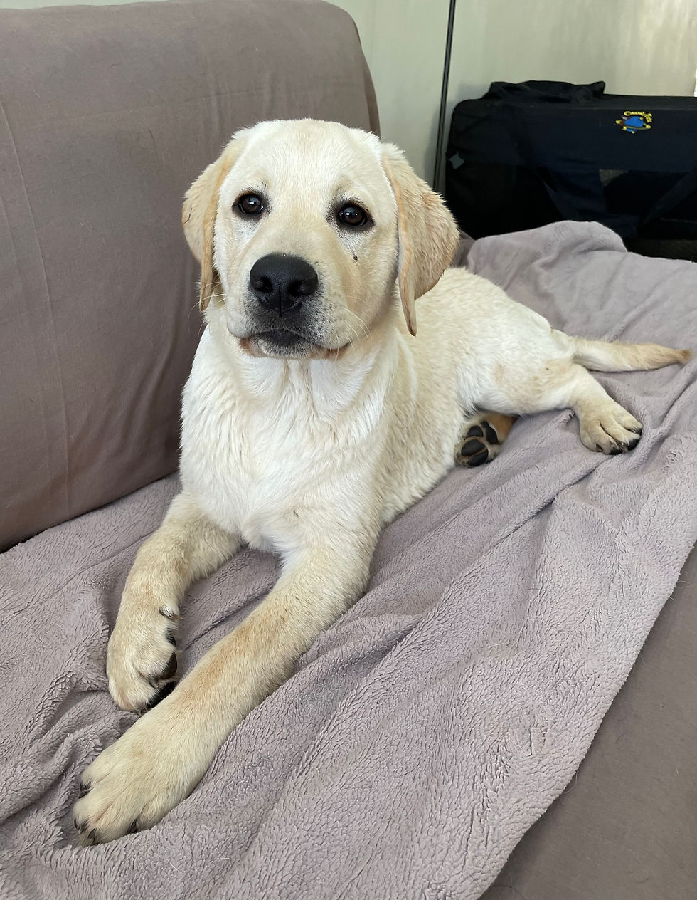 4 months