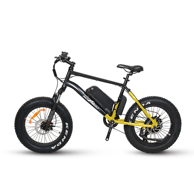 Junior Explorer 20 E-Bike - 250W