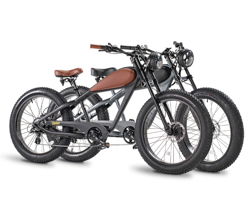 Vintage Retro Chopper -Mountain Urban Dual E-Bike-250w 500w 750w